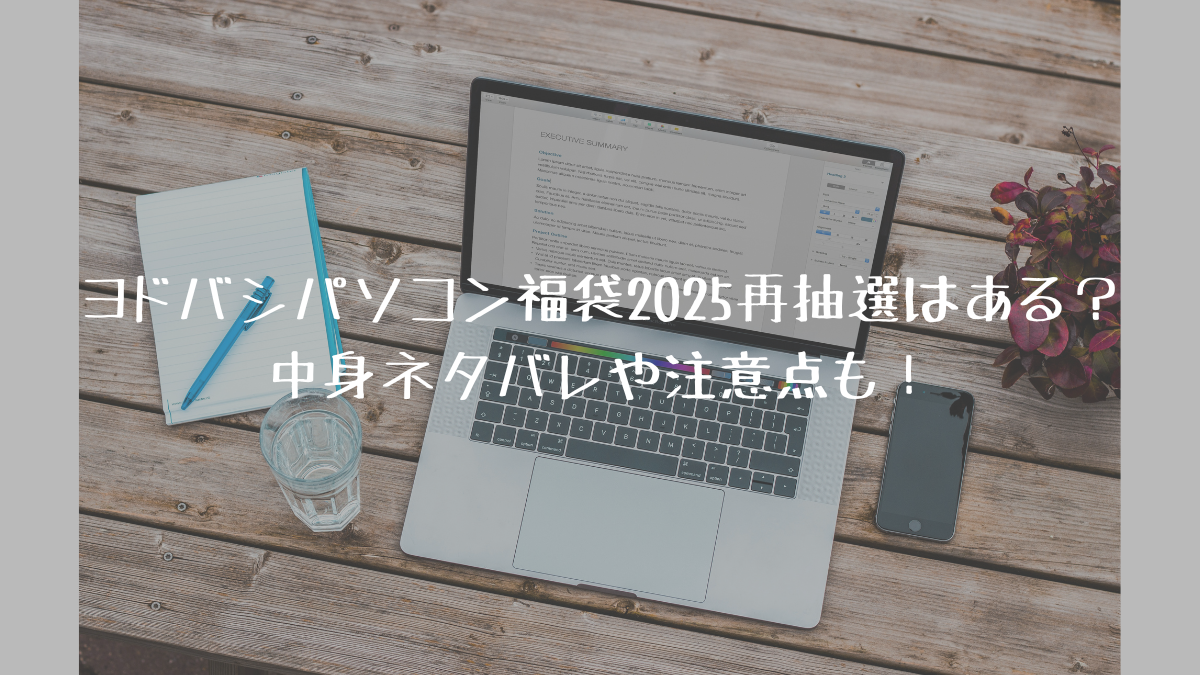 ヨドバシカメラの2025福袋 AIサーフェスpro 第11世代セット （ヨドバシ 